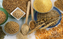 <b>糧食行業(yè)選擇什么樣的振動(dòng)篩比較合適？</b>